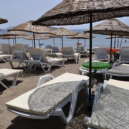 Sarsilmaz * Ortakent