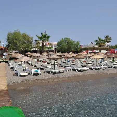 Sarsilmaz * Ortakent