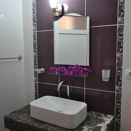 Hotel Sarsilmaz *
