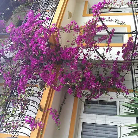 Hotel Sarsilmaz *
