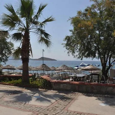 Sarsilmaz * Ortakent